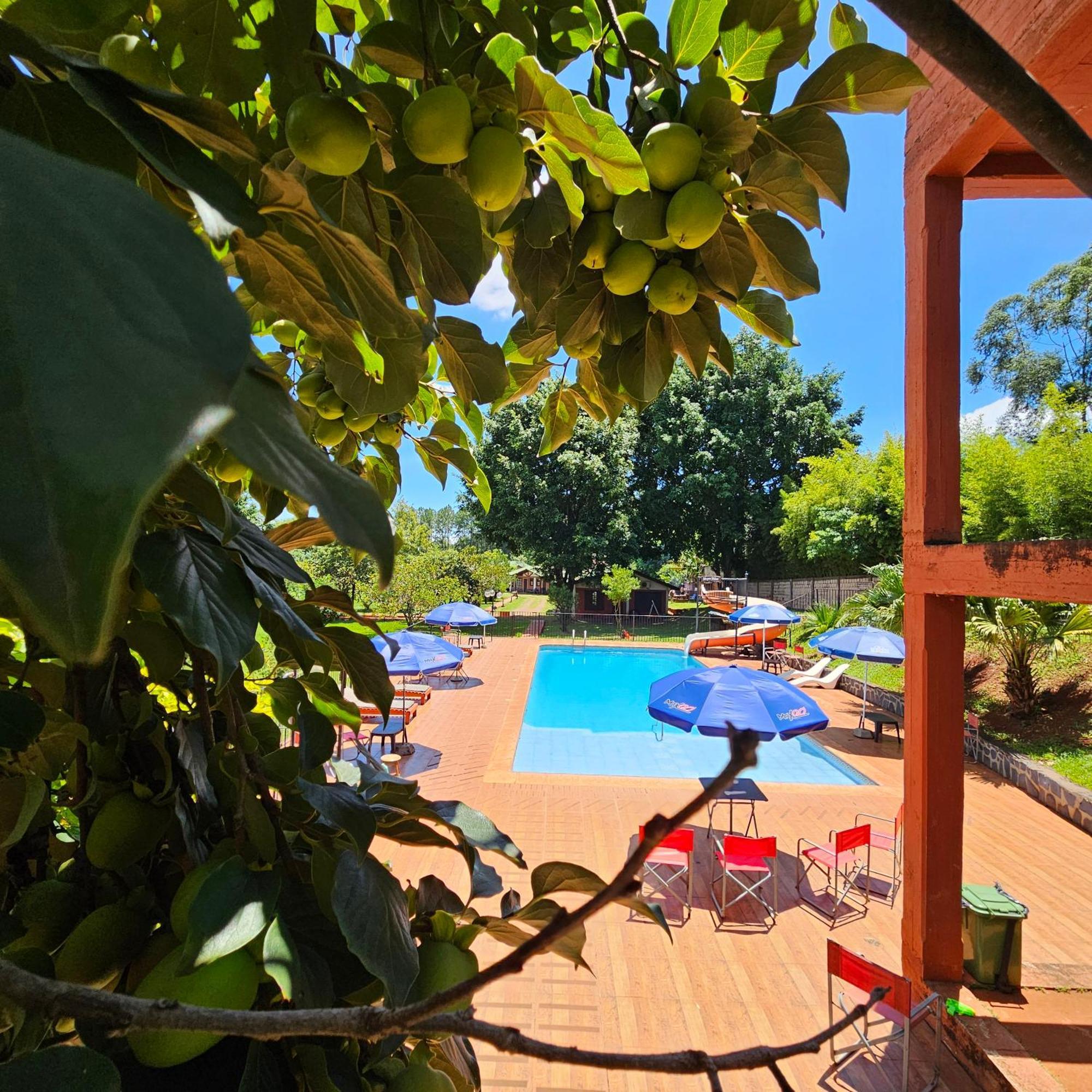 Cabanas El Refugio Del Mensu Puerto Iguazu Luaran gambar