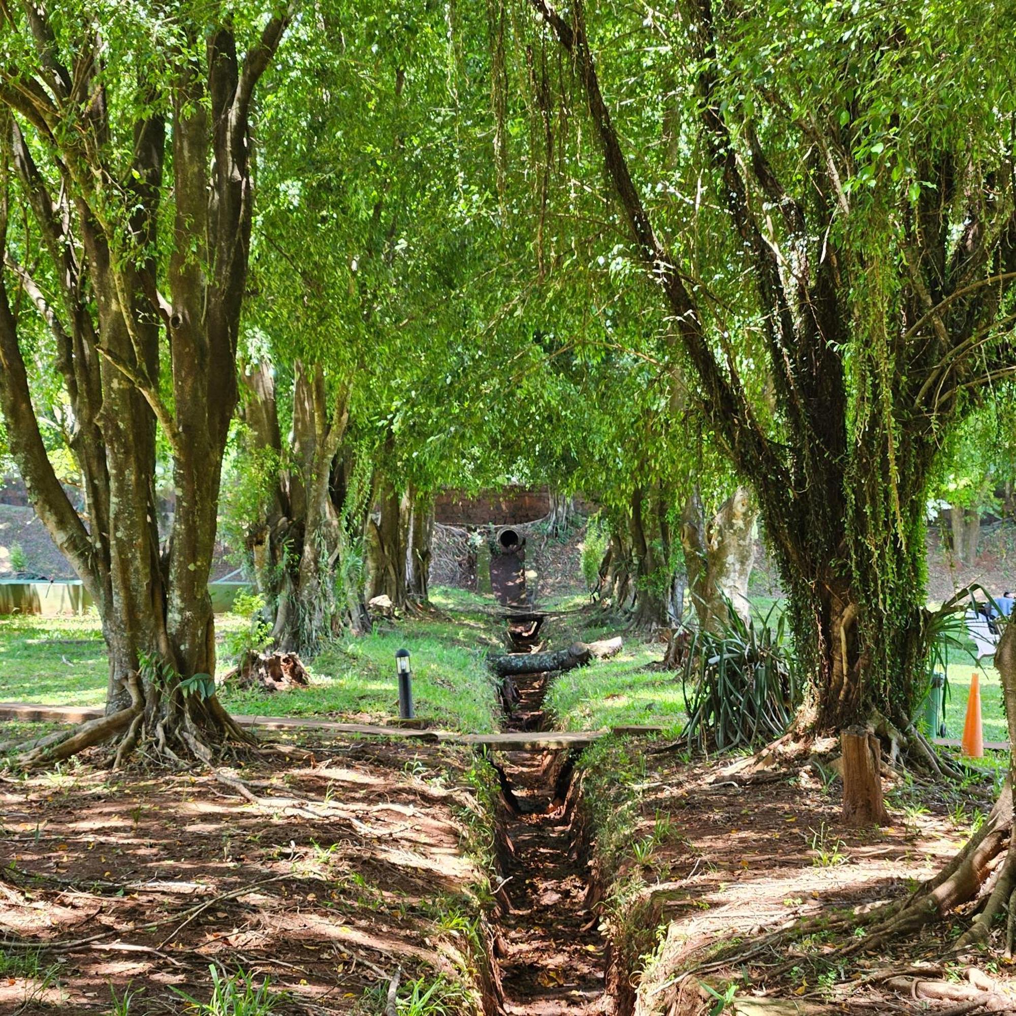 Cabanas El Refugio Del Mensu Puerto Iguazu Luaran gambar